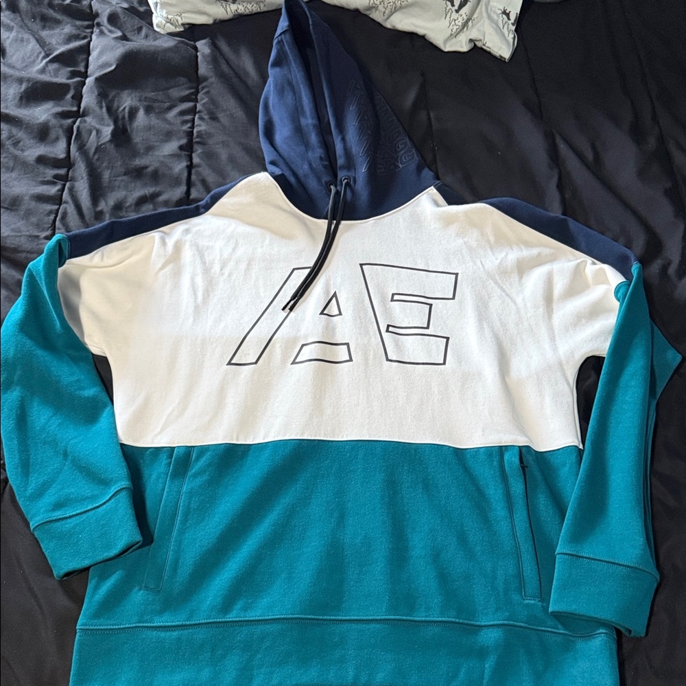 American Eagle Outfitters Men's Blue and White Hoodie